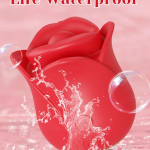 44c4358d05a18f35b5f07bb06ad969813e06e40c-1.png