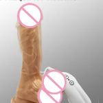 e4f90ef0ff6a4c52172114cb3082e483e534640a.png